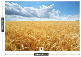 Fototapeta Vliesová Pšeničné polia 152x104 cm
