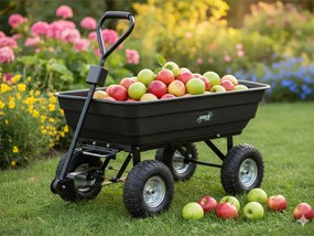 CH Čierny záhradný vyklápací vozík Fury - 75l