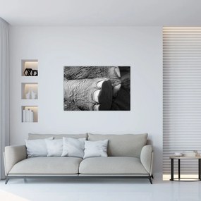 Obraz - Slonia noha (90x60 cm)