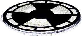 BERGE LED pásik - SMD 2835 - 50m - 4,8 W/m - IP20 - studená biela