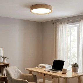 BRILAGI - LED stropné svietidlo NATURA LED/20W/230V 4000K priemer 33,7 cm