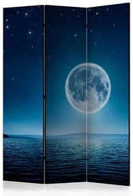 Paraván - Moonlit night [Room Dividers] Veľkosť: 135x172, Verzia: Akustický