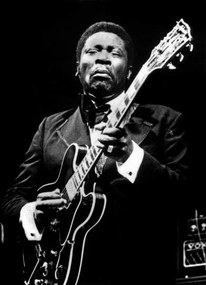 Umelecká fotografie BB King, (30 x 40 cm)