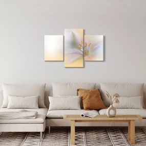 Obraz - Jemný kvet (90x60 cm)
