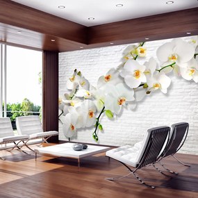Fototapeta - Biela orchidea II 200x140 + zadarmo lepidlo