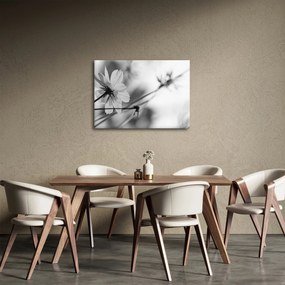Obraz - Čiernobiele kvety (70x50 cm)