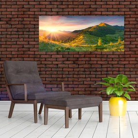 Obraz - Letná krajina (120x50 cm)