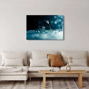 Obraz - Makro (90x60 cm)
