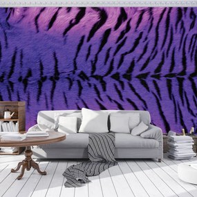 Fototapeta - Tiger (254x184 cm)