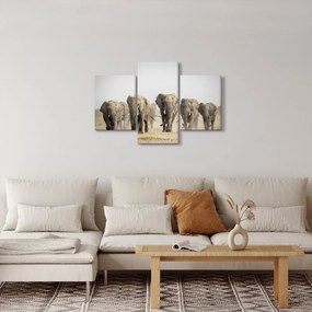 Obraz - Slonie stádo (90x60 cm)