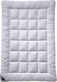 XXXLutz ZIMNÁ PRIKRÝVKA, 140/200 cm, polyester Billerbeck - Prikrývky & vankúše - 0032790637