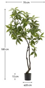Umelá rastlina (výška 180 cm) Pachira – Kave Home