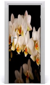Fototapeta samolepiace orchidea 75x205 cm
