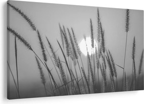 Obraz - Lúka pri západe slnka (90x60 cm)