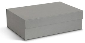 Sivé kartónové úložné boxy v súprave 3 ks s vekom/dekoratívne 42,5x29,5x13 cm Kian Paper Laminate – Bigso