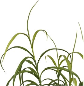 Umelá rastlina (výška 89 cm) Grass – House Nordic