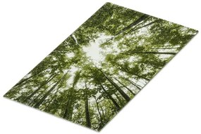 Koberce Breno Kusový koberec BELIS 22103/40, zelená, viacfarebná,120 x 170 cm