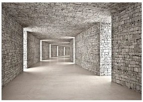 Samolepiaca fototapeta - Mysterious Tunnel Veľkosť: 392x280, Verzia: Samolepiaca