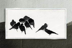 Skleneny obraz Moderné zvieratá vtákov