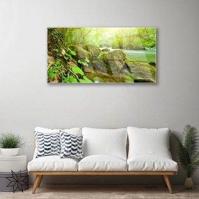 Skleneny obraz Jazero kamene príroda 100x50 cm