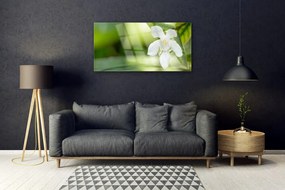 Obraz na skle Kvet listy 140x70 cm