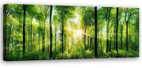 Obraz na plátně Krajina Les Zelená příroda - 120x40 cm