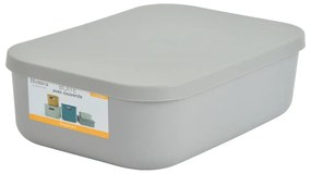 Sivý plastový úložný box s vekom 24x18x8 cm – Homéa