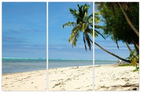 Fotka pláže - obraz