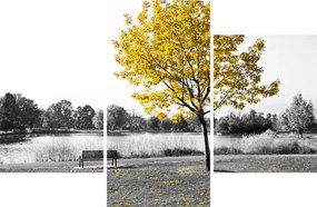 Obraz - Odpočinok v parku (90x60 cm)