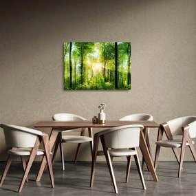 Sklenený obraz - Svitanie v lese (70x50 cm)