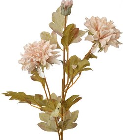 Dekorácia umelý kvet s béžovými kvetmi - 9*9*68 cm