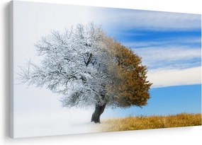 Obraz - Zmena ročného obdobia (90x60 cm)