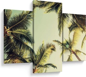 Obraz s kokosovými palmami (90x60 cm)