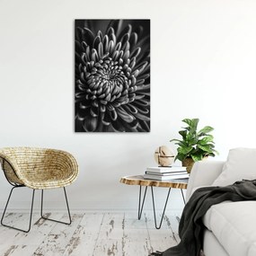 Gario Plagát Čiernobiely kvet Farba rámu: Bez rámu, Rozmery: 20 x 30 cm