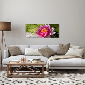 Obraz - Lekno (120x50 cm)