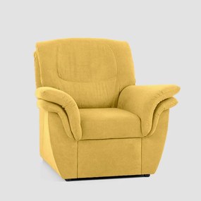 AVA PROVAN 1ALR Varianta: ROSARIO 461