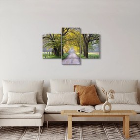 Obraz - Smoky Mountains, Gatlinburg, USA (90x60 cm)