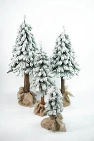 Limpol Horský smrek zasnežený 1,70 m