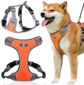 Postroj pre psov Astro L oranžový