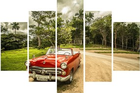Obraz - auto veterán v prírode (150x105 cm)