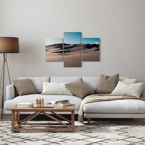 Obraz - Z púšte (90x60 cm)
