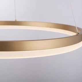 Paul Neuhaus 2382-60 - LED Stmievateľný luster na lanku TITUS LED/38,5W/230V