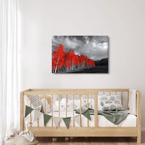 Obraz - Stromy vo farbe jesene (90x60 cm)