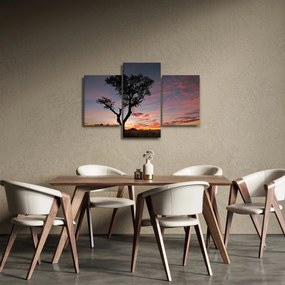 Obraz - Strom a červánky (90x60 cm)