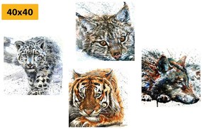Set obrazov nádherné majestátne zvieratá