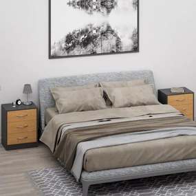 InternetovaZahrada Nočný stolík Eloise 54x39x28cm - drevo/šedý