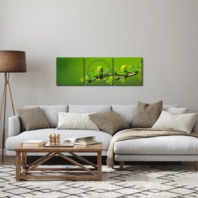 Obraz zelenej šišky (s hodinami) (90x30 cm)