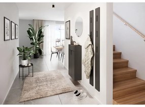 Antracitová skrinka 56x97x22 cm Ameca – Germania