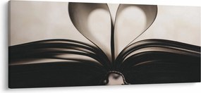 Obraz knihy (120x50 cm)