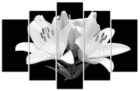 Obraz na plátně pětidílný Bílé lilie Květiny Příroda - 100x70 cm